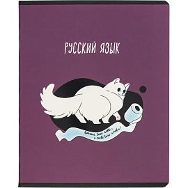 Набор тетрадей предметных Комус Класс Котики А5 48 листов матовая ламинация/ВД-лак (12 штук в упаковке)