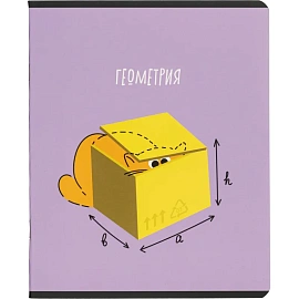 Набор тетрадей предметных Комус Класс Котики А5 48 листов матовая ламинация/ВД-лак (12 штук в упаковке)