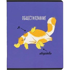 Набор тетрадей предметных Комус Класс Котики А5 48 листов матовая ламинация/ВД-лак (12 штук в упаковке)