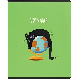 Набор тетрадей предметных Комус Класс Котики А5 48 листов матовая ламинация/ВД-лак (12 штук в упаковке)