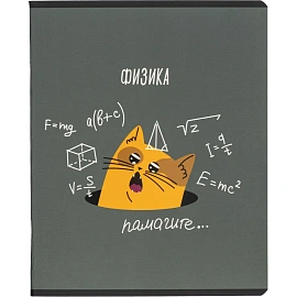 Набор тетрадей предметных Комус Класс Котики А5 48 листов матовая ламинация/ВД-лак (12 штук в упаковке)