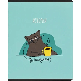 Набор тетрадей предметных Комус Класс Котики А5 48 листов матовая ламинация/ВД-лак (12 штук в упаковке)