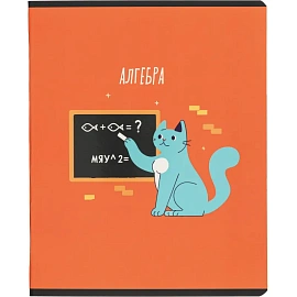 Набор тетрадей предметных Комус Класс Котики А5 48 листов матовая ламинация/ВД-лак (12 штук в упаковке)