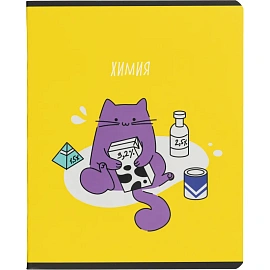 Набор тетрадей предметных Комус Класс Котики А5 48 листов матовая ламинация/ВД-лак (12 штук в упаковке)