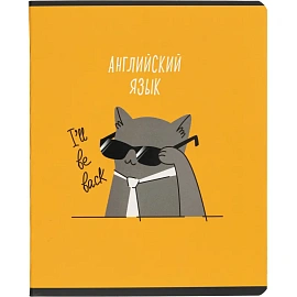 Набор тетрадей предметных Комус Класс Котики А5 48 листов матовая ламинация/ВД-лак (12 штук в упаковке)