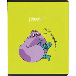 Набор тетрадей предметных Комус Класс Котики А5 48 листов матовая ламинация/ВД-лак (12 штук в упаковке)