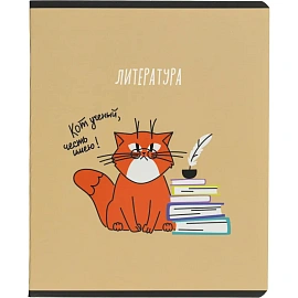 Набор тетрадей предметных Комус Класс Котики А5 48 листов матовая ламинация/ВД-лак (12 штук в упаковке)