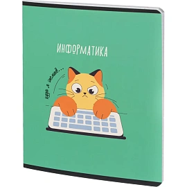 Набор тетрадей предметных Комус Класс Котики А5 48 листов матовая ламинация/ВД-лак (12 штук в упаковке)