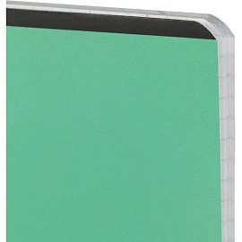 Набор тетрадей предметных Комус Класс Котики А5 48 листов матовая ламинация/ВД-лак (12 штук в упаковке)