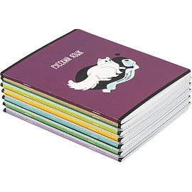 Набор тетрадей предметных Комус Класс Котики А5 48 листов матовая ламинация/ВД-лак (12 штук в упаковке)