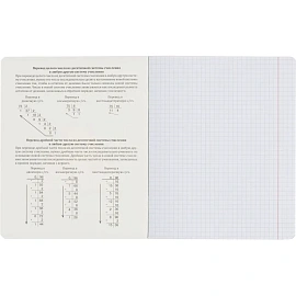 Набор тетрадей предметных Комус Класс Котики А5 48 листов матовая ламинация/ВД-лак (12 штук в упаковке)