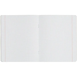 Набор тетрадей предметных Комус Класс Котики А5 48 листов матовая ламинация/ВД-лак (12 штук в упаковке)