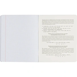 Набор тетрадей предметных Комус Класс Котики А5 48 листов матовая ламинация/ВД-лак (12 штук в упаковке)