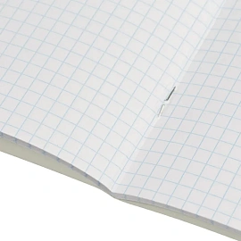 Набор тетрадей предметных Комус Класс Котики А5 48 листов матовая ламинация/ВД-лак (12 штук в упаковке)