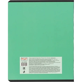 Набор тетрадей предметных Комус Класс Котики А5 48 листов матовая ламинация/ВД-лак (12 штук в упаковке)