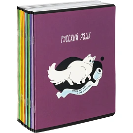 Набор тетрадей предметных Комус Класс Котики А5 48 листов матовая ламинация/ВД-лак (12 штук в упаковке)