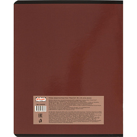 Тетрадь предметная по физике Комус Класс Искусство А5 48 листов в клетку, глянцевая ламинация