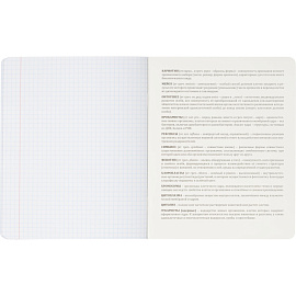 Тетрадь предметная по биологии Комус Класс Искусство А5 48 листов в клетку, глянцевая ламинация