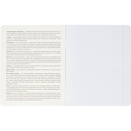 Тетрадь предметная по обществознанию Комус Класс Искусство А5 48 листов в клетку, глянцевая ламинация