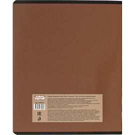 Тетрадь предметная по обществознанию Комус Класс Искусство А5 48 листов в клетку, глянцевая ламинация