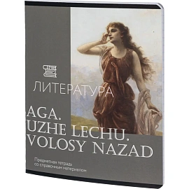 Тетрадь предметная Комус Класс Искусство А5 48 листов с рисунком комбинированная, глянцевая ламинация (12 штук в упаковке)