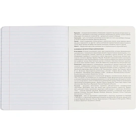 Тетрадь предметная Комус Класс Искусство А5 48 листов с рисунком комбинированная, глянцевая ламинация (12 штук в упаковке)