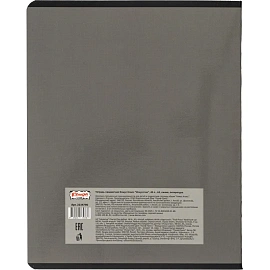 Тетрадь предметная Комус Класс Искусство А5 48 листов с рисунком комбинированная, глянцевая ламинация (12 штук в упаковке)