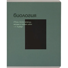 Набор тетрадей предметных Комус Класс Минимализм А5 48 листов Soft Touch/ВД-лак (12 штук в упаковке)