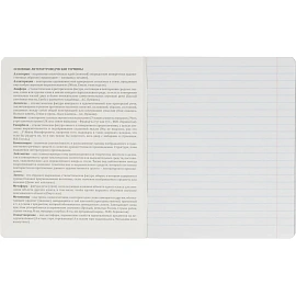 Набор тетрадей предметных Комус Класс Минимализм А5 48 листов Soft Touch/ВД-лак (12 штук в упаковке)