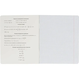 Набор тетрадей предметных Комус Класс Минимализм А5 48 листов Soft Touch/ВД-лак (12 штук в упаковке)