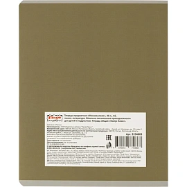 Набор тетрадей предметных Комус Класс Минимализм А5 48 листов Soft Touch/ВД-лак (12 штук в упаковке)