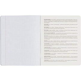 Тетрадь предметная Комус Класс Металика А5 48 листов разноцветная комбинированная, матовая ламинация/ВД-лак (12 штук в упаковке)