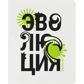 Тетрадь предметная Комус Класс Кириллица А5 48 листов с рисунком комбинированная, Soft Touch (12 штук в упаковке)