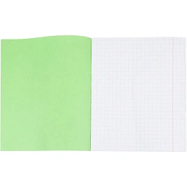 Тетрадь школьная зеленая А5 12 листов в крупную клетку