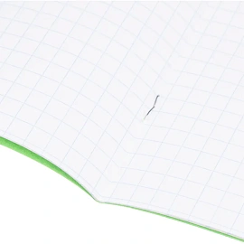 Тетрадь школьная зеленая А5 12 листов в крупную клетку