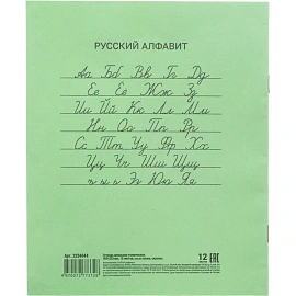 Тетрадь школьная зеленая А5 12 листов в косую линию