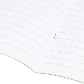 Тетрадь школьная зеленая А5 12 листов в линейку