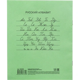Тетрадь школьная зеленая А5 12 листов в линейку