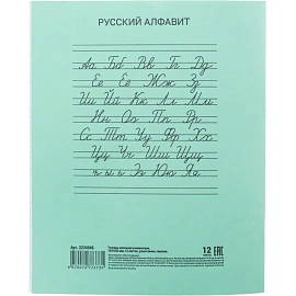 Тетрадь школьная зеленая А5 12 листов в узкую линию