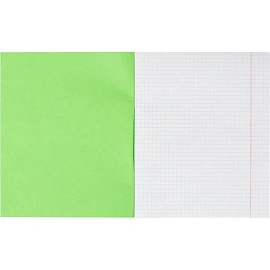 Тетрадь школьная зеленая А5 18 листов в клетку