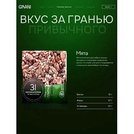 Зерновые плитки медовые GRANI мята 7 г (30 штук в упаковке)