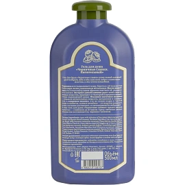 Гель для душа Рецепты бабушки Агафьи Черничные сливки 500 мл