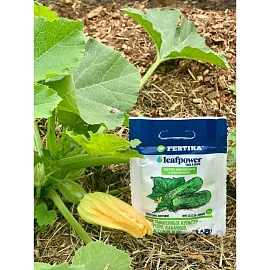 Удобрение для тыквенных культур Фертика Leaf Power 50 г