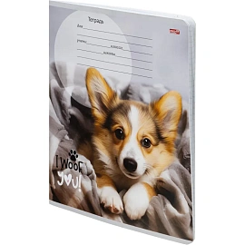 Тетрадь школьная Profit Прелестные щеночки А5 12 листов в клетку