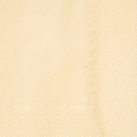 Салфетки бумажные Gratias Professional 2-слойные 24x24 см шампань (250 листов в пачке) фото Салфетки бумажные Gratias Professional 2-слойные 24x24 см шампань (250 листов в пачке)