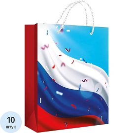 Пакет подарочный ламинация Хорошо Триколор (22.7x18x10 см)