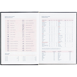 Ежедневник датированный 2026 АТТАСНЕ А4, 176л, 200х270мм, Каньон, синий
