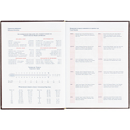 Ежедневник датированный 2026 АТТАСНЕ А4, 176л, 200х270мм, Каньон бордовый