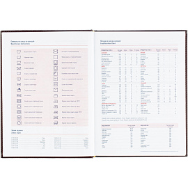 Ежедневник датированный 2026 АТТАСНЕ А4, 176л, 200х270мм, Каньон бордовый