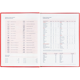 Ежедневник датированный 2026 АТТАСНЕ А4, 176л, 200х270мм, Сиам красный